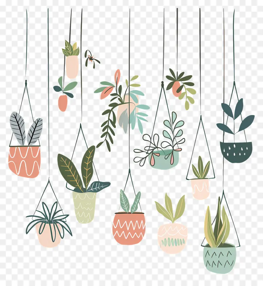 Plantes D'intérieur Suspendues，Les Plantes En Pot PNG