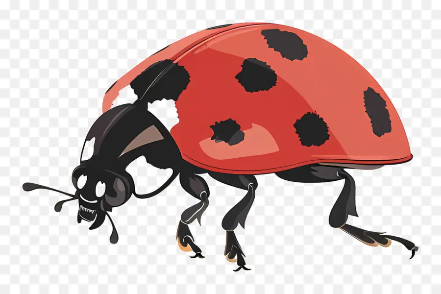 Coccinelle，Des Taches Noires PNG