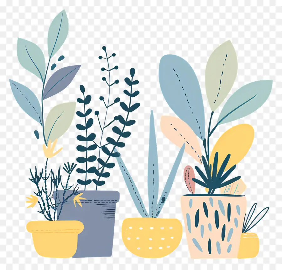 Plantes D'intérieur En Pots，Plantes En Pot PNG