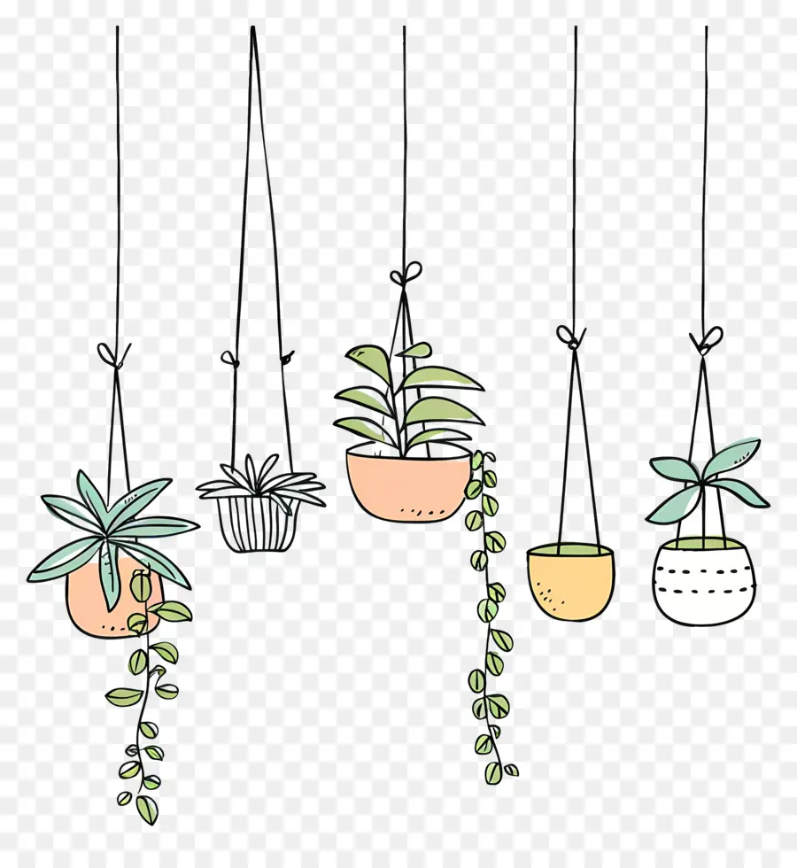 Plantes D'intérieur Suspendues，Plantes Suspendues PNG