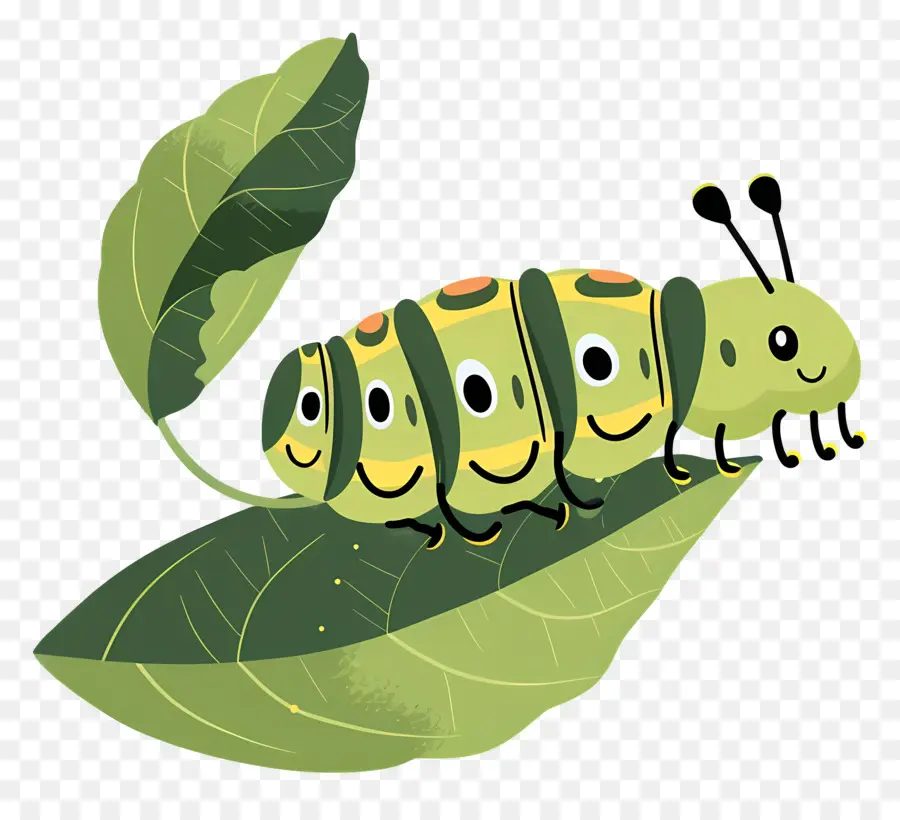 Caterpillar，La Chenille Verte PNG