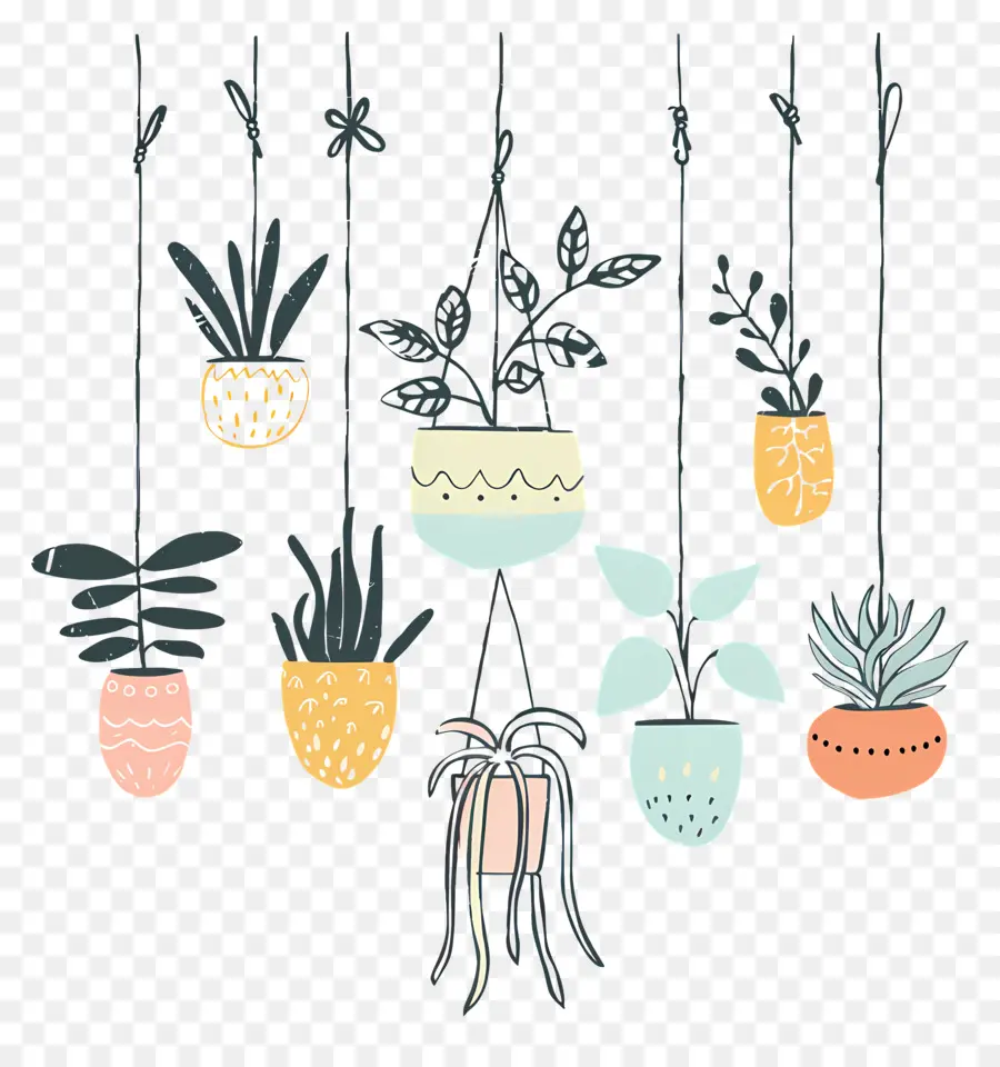 Plantes D'intérieur Suspendues，Les Plantes Suspendues PNG