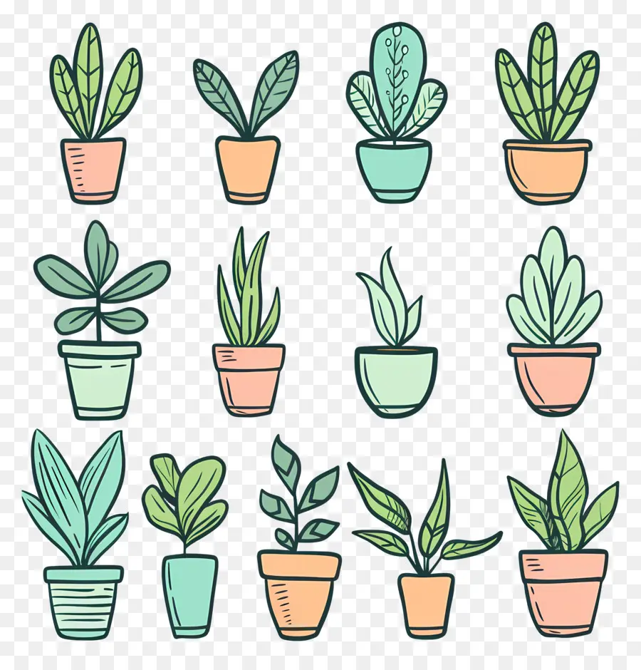 Plantes D'intérieur En Pots，Plantes En Pot PNG