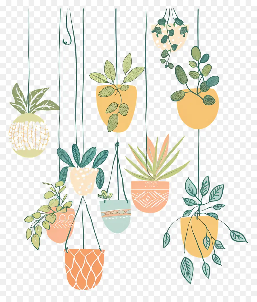 Plantes D'intérieur Suspendues，Plantes Suspendues PNG