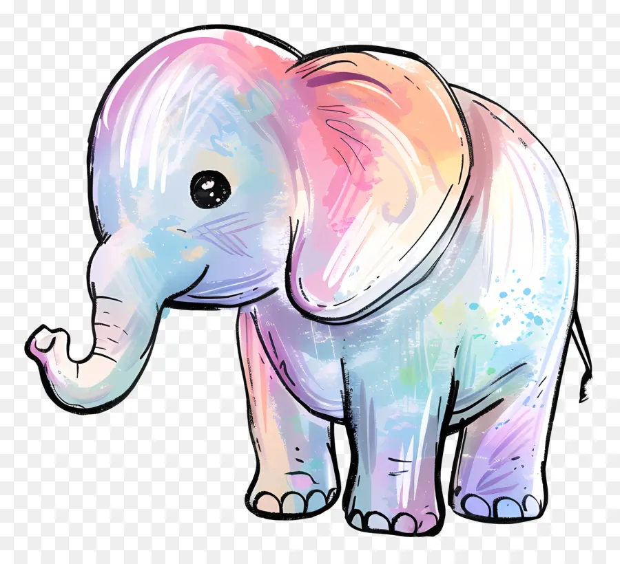 L'éléphant，Coloré PNG