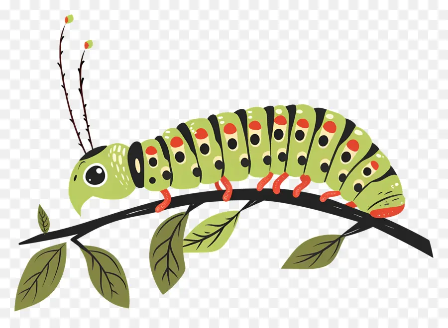 Caterpillar，Les Insectes PNG