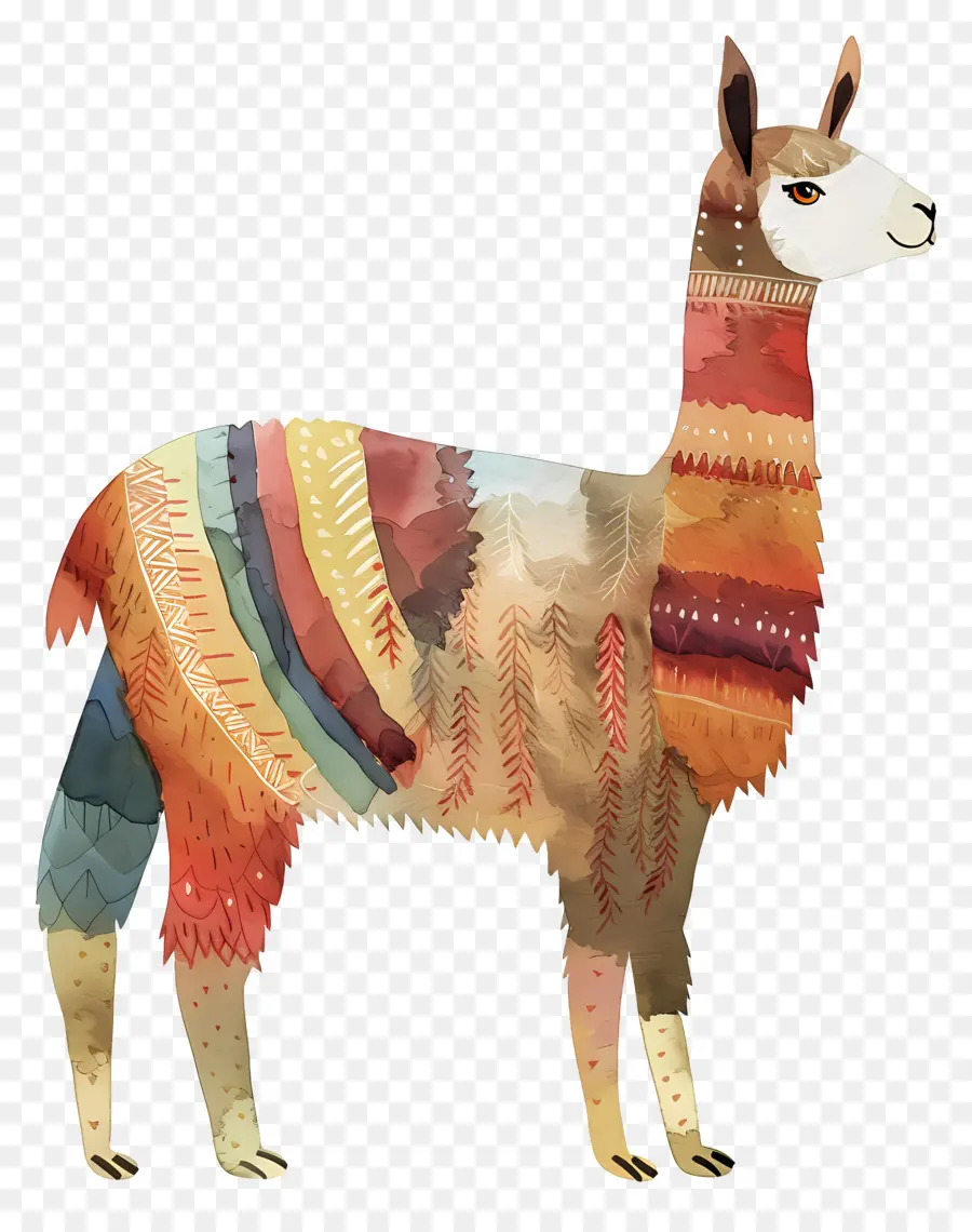 Appelé，Lama Coloré PNG