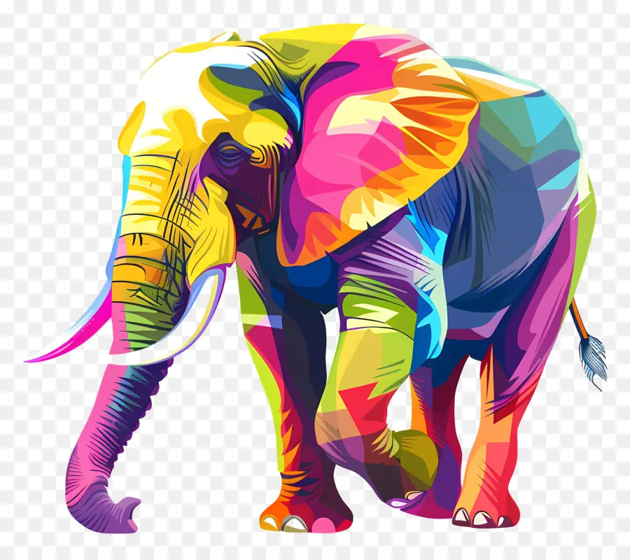 Éléphant，Coloré PNG