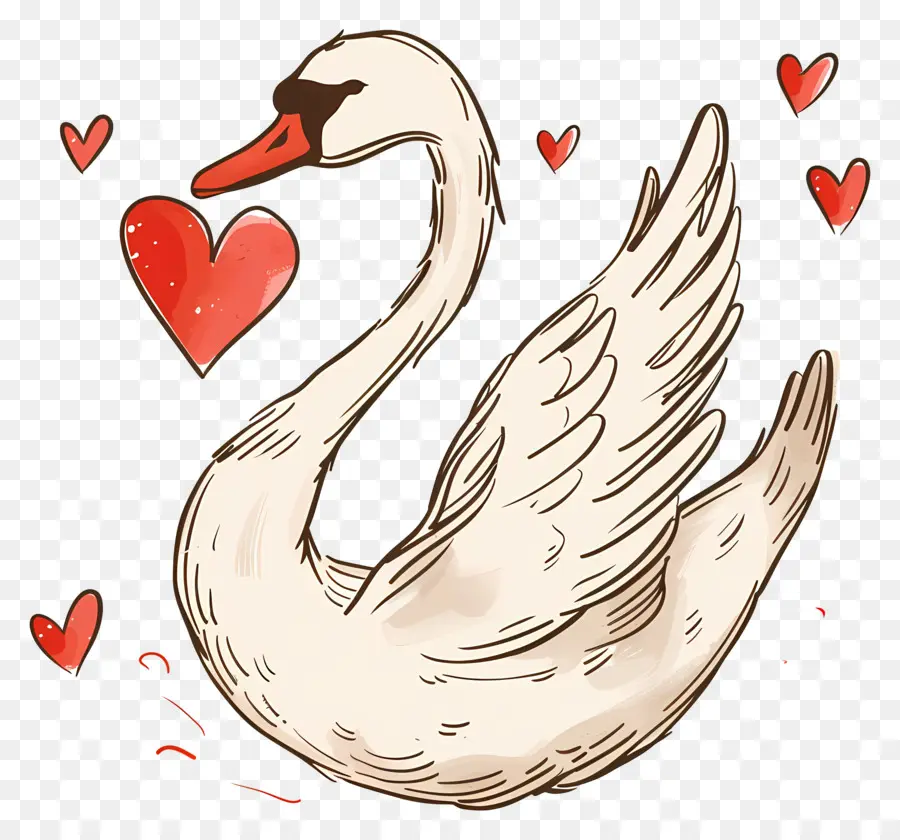 Cygne，Coeur PNG