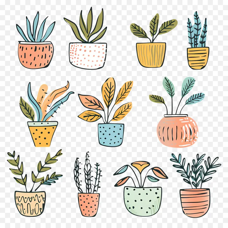 Plantes D'intérieur En Pots，Plantes En Pot PNG