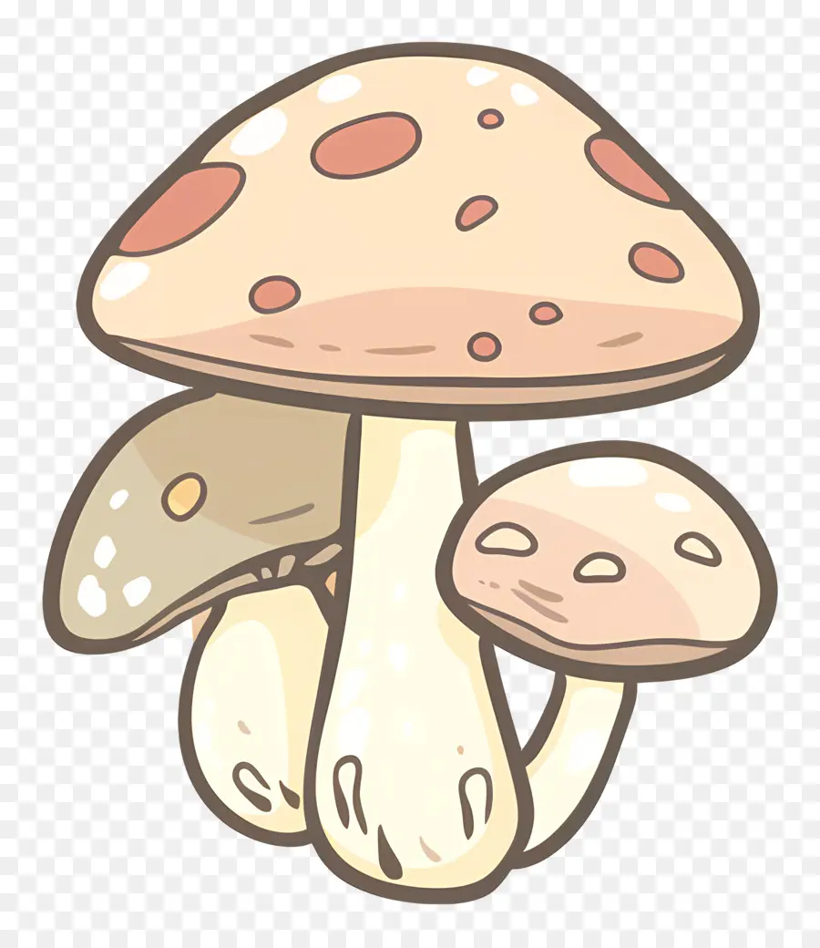 Champignon Bolet，Dessin Animé De Champignons PNG