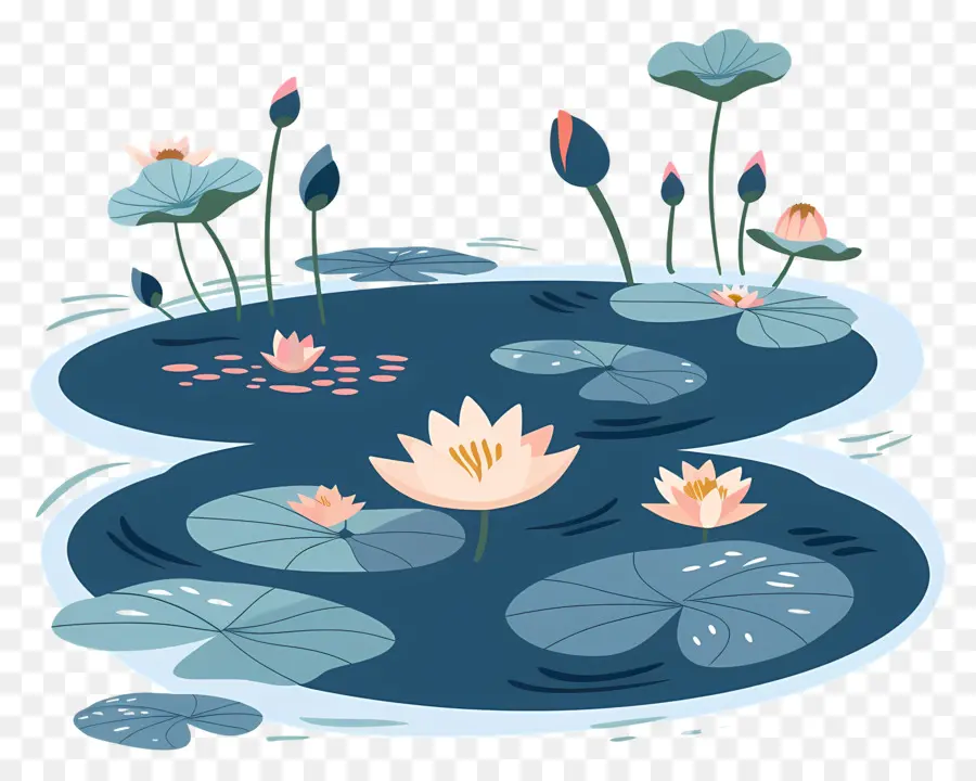 étang De Lotus，Des Fleurs De Lotus PNG