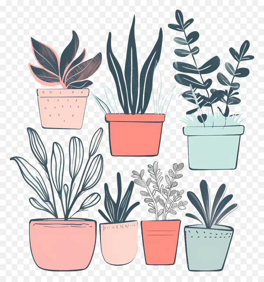 Plantes D'intérieur Dans Des Pots，Les Plantes En Pot PNG