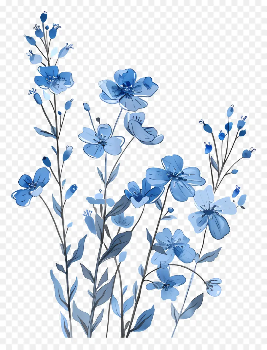 Fleurs Bleues，Fleur Bleue PNG