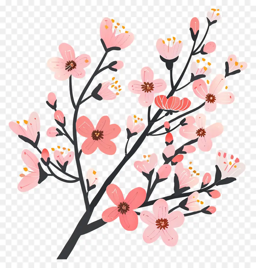 Blossoms Du Printemps，Fleurs Roses PNG