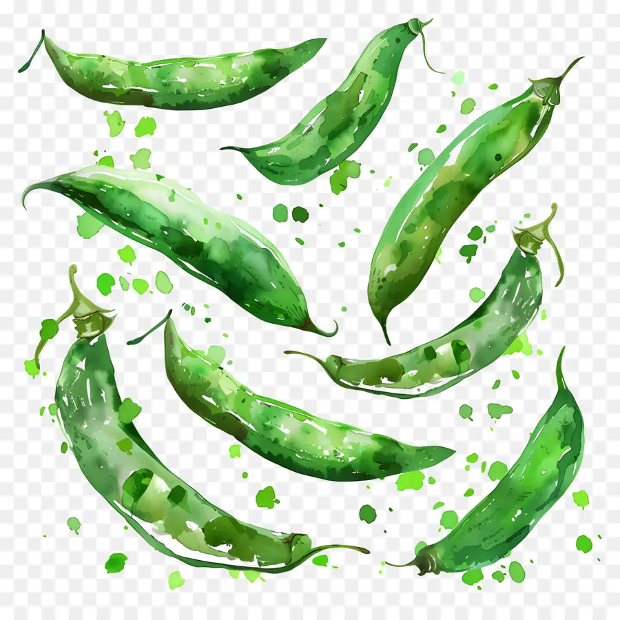 Haricots Verts，Peinture à L'aquarelle PNG