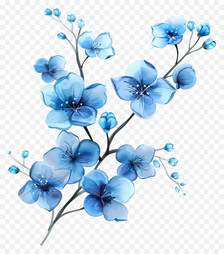 Fleurs Bleues，Les Clusters PNG