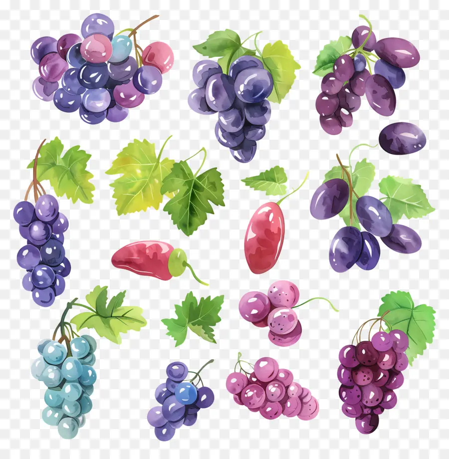 Raisins，Aquarelle Raisins PNG