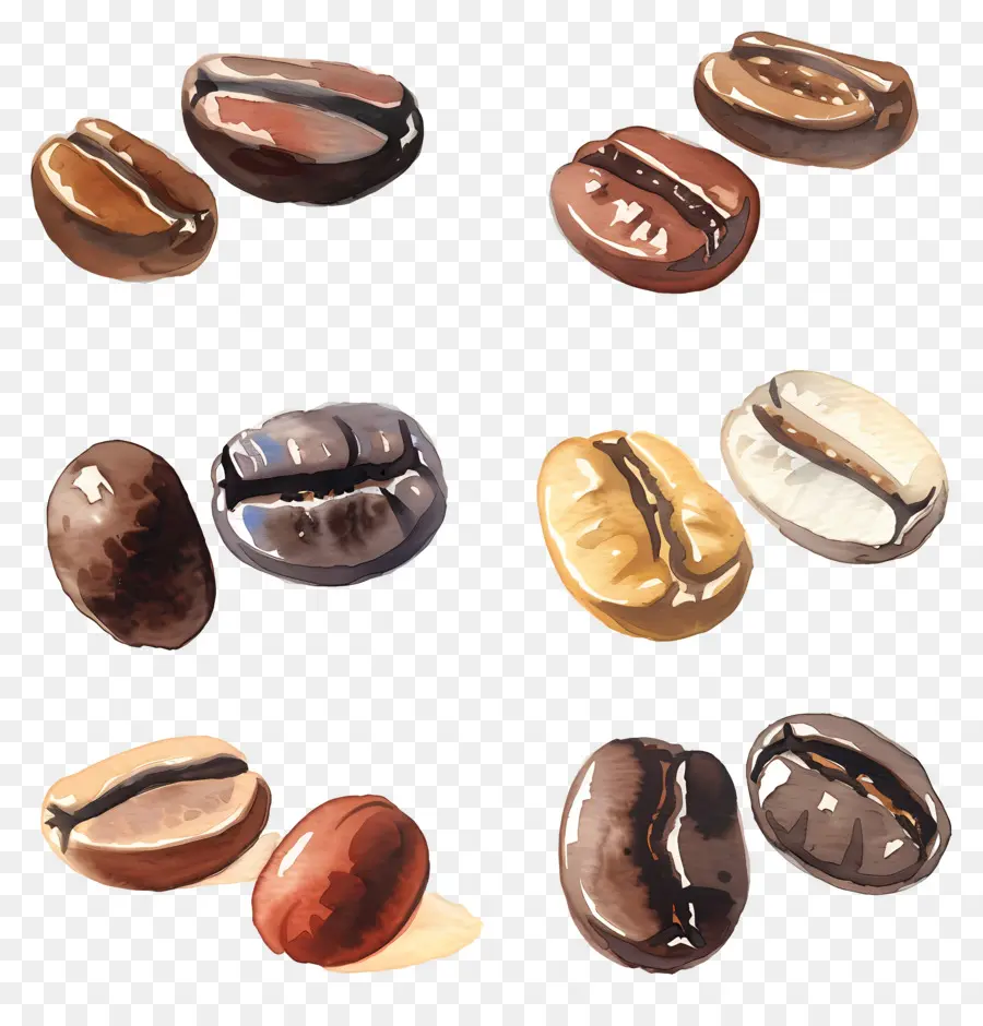 Les Grains De Café，Peinture à L'aquarelle PNG