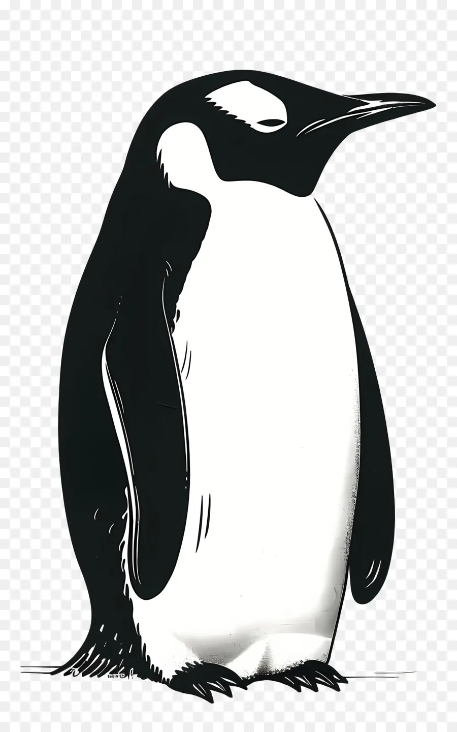 Cartoon Pingouin，Pingouin PNG