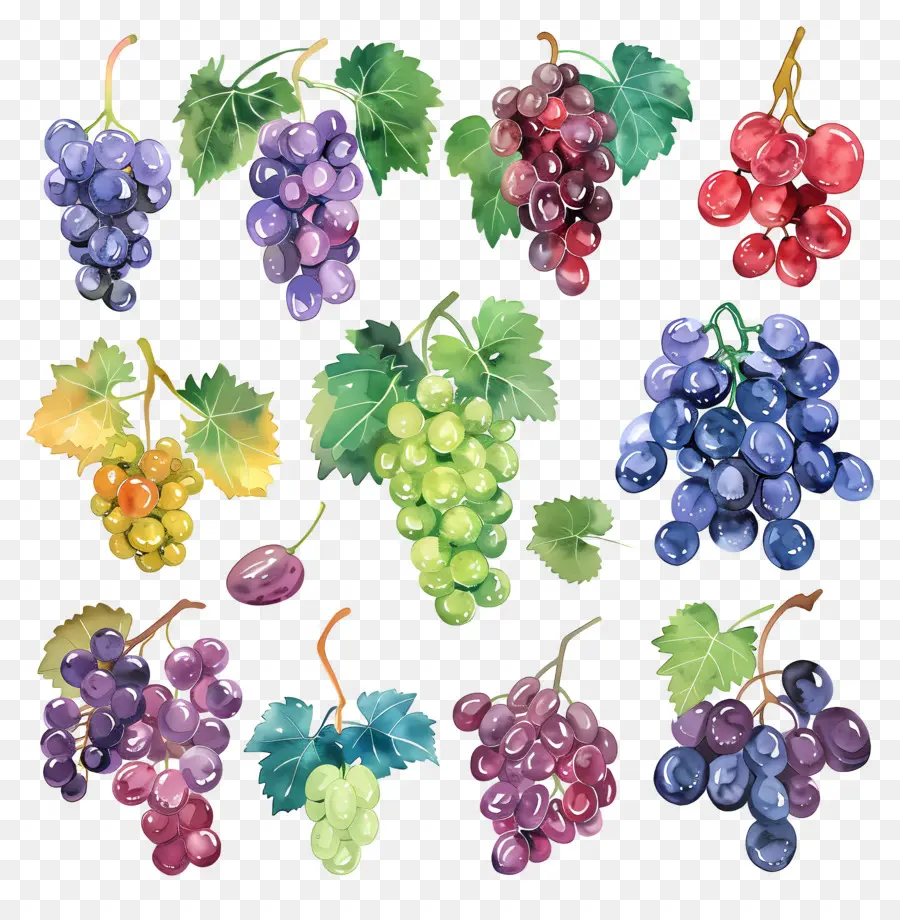 Raisins，Fruits PNG