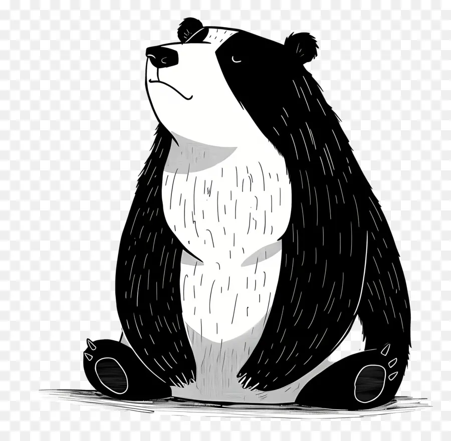 Ours De Bande Dessinée，L'ours Noir PNG