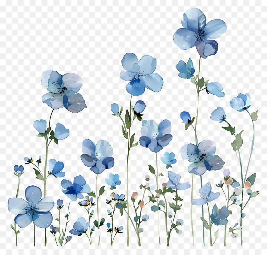 Fleurs Bleues，Bleu De Fleurs Sauvages PNG