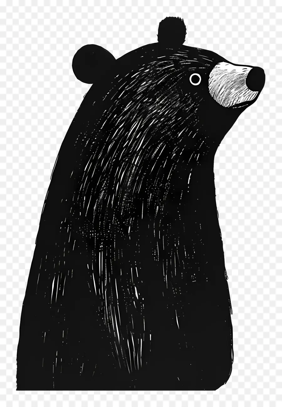 Ours De Bande Dessinée，L'ours Noir PNG