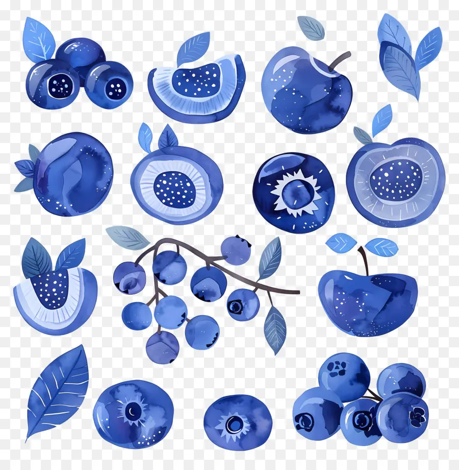 Bleuets，Les Bleuets PNG