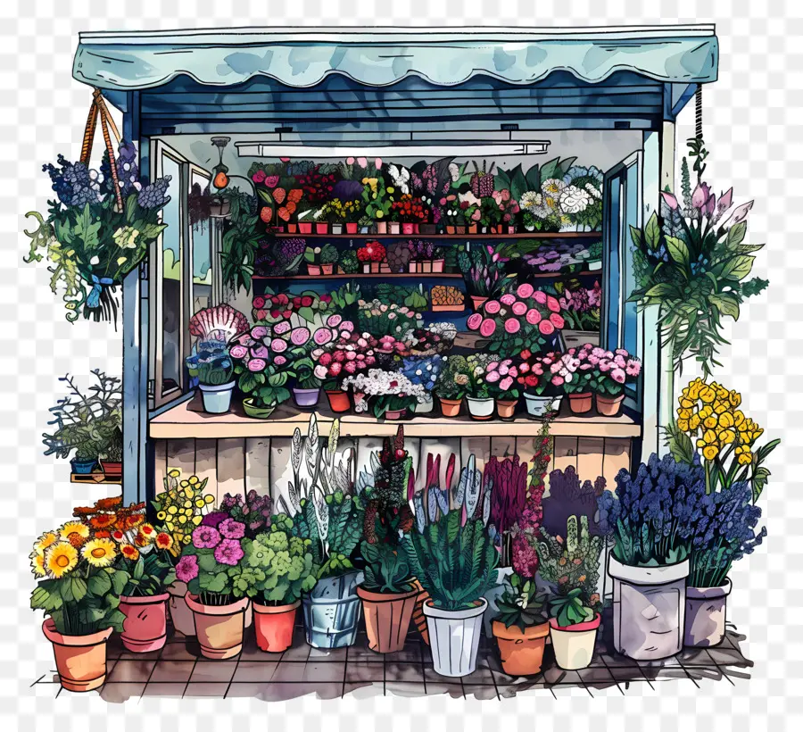 Boutique De Fleurs，Les Plantes En Pot PNG