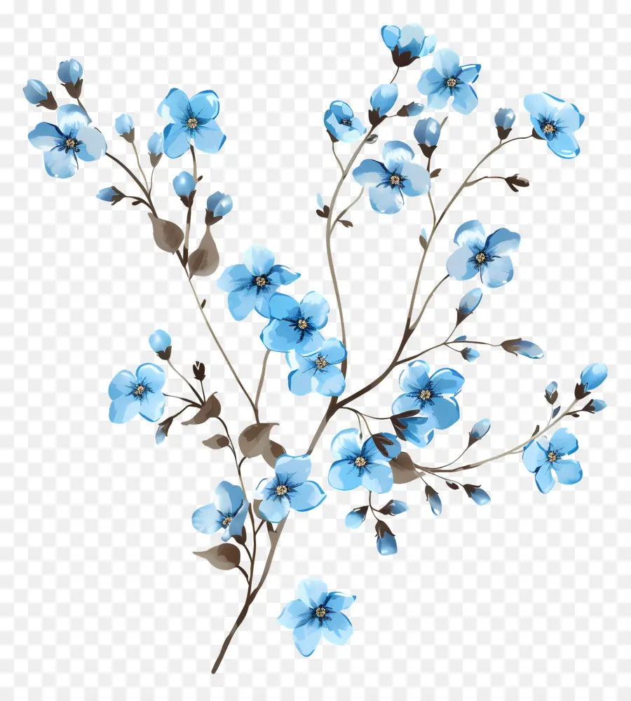 Fleurs Bleues，Branche En Fleurs PNG