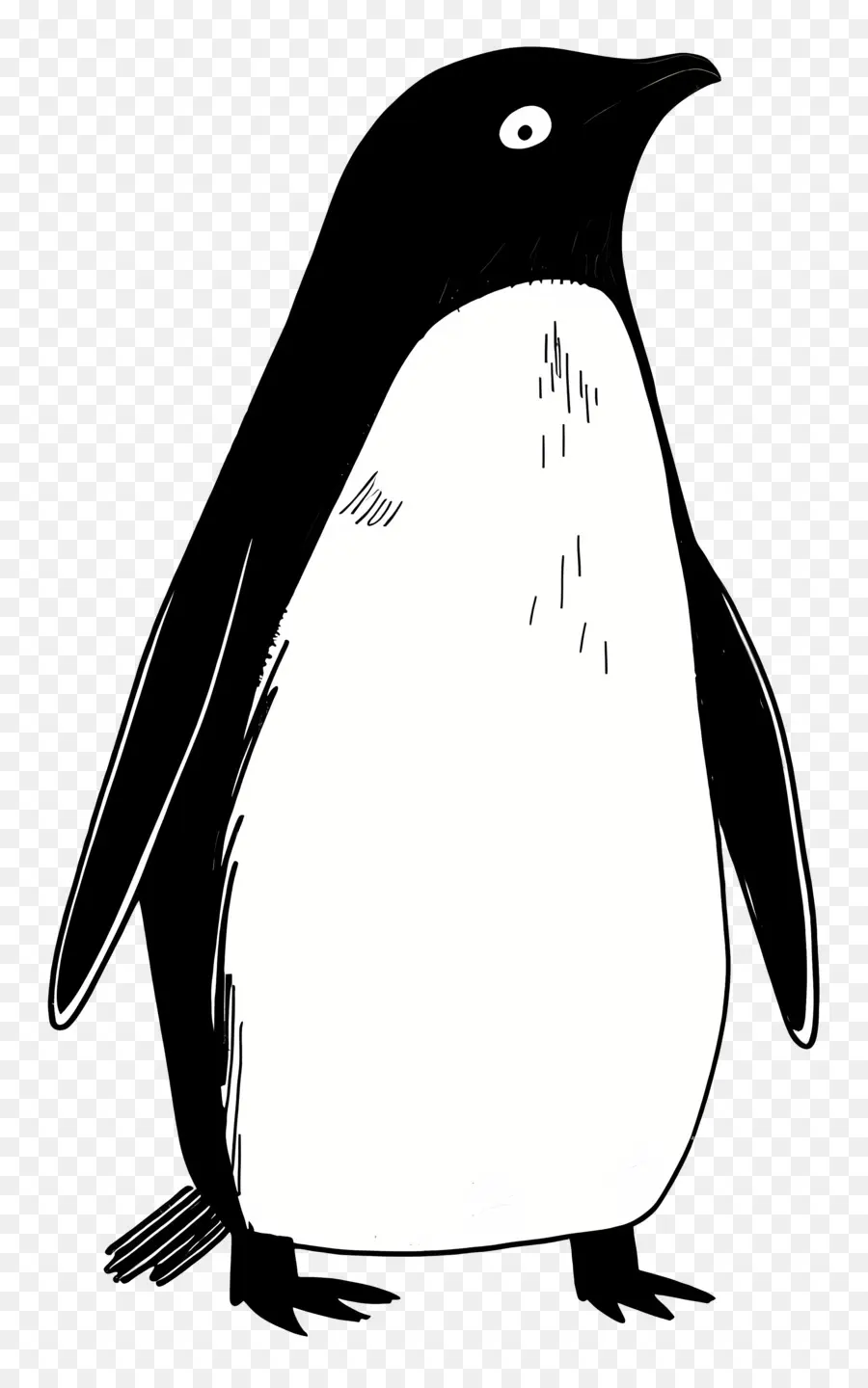 Cartoon Pingouin，Pingouin PNG