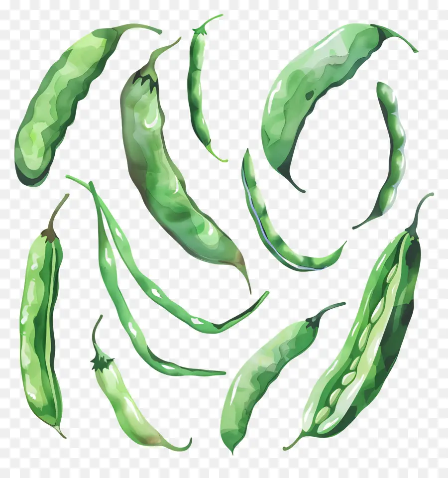 Haricots Verts，Cosse De Tête PNG