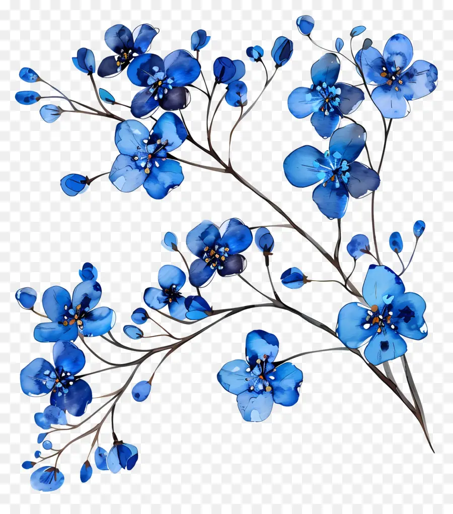 Fleurs Bleues，Fleur Bleue PNG