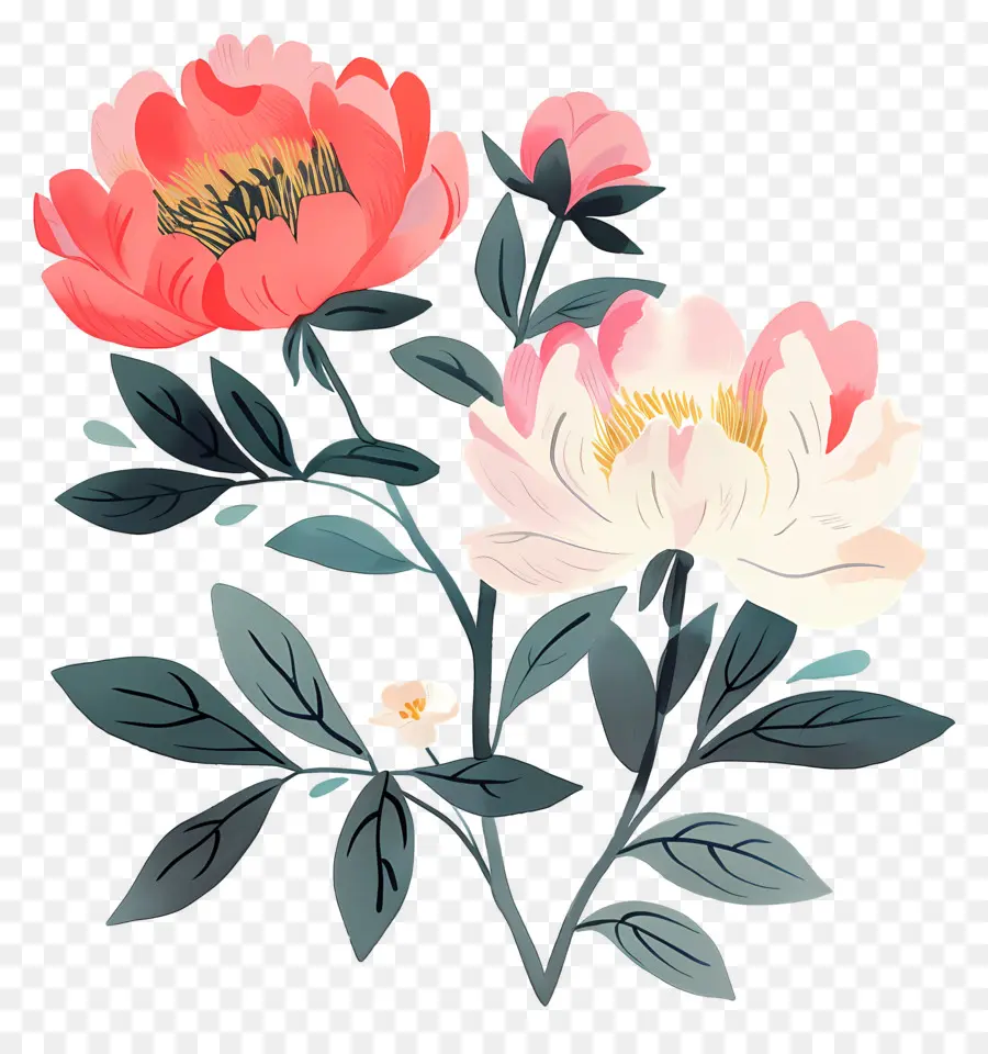 Fleurs De Pivoine，Bouquet PNG