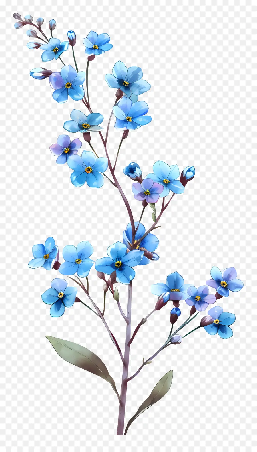 Fleurs Bleues，Fleur Bleue PNG