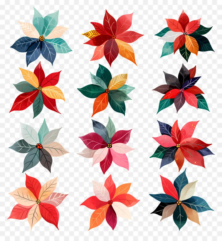 Poinsettia，Fleurs En Papier PNG