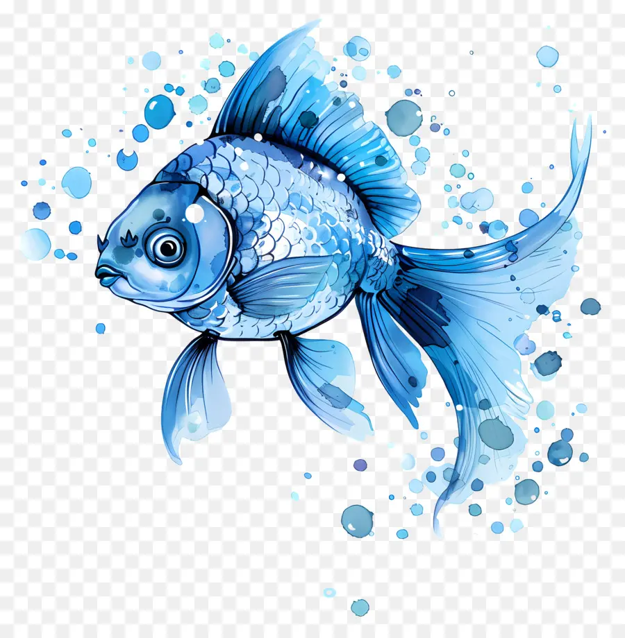 Poisson Bleu，Bleu Poisson Rouge PNG