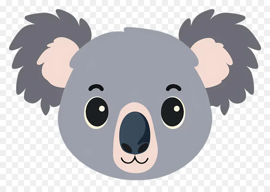 Visage De Koala Mignon，Koala PNG