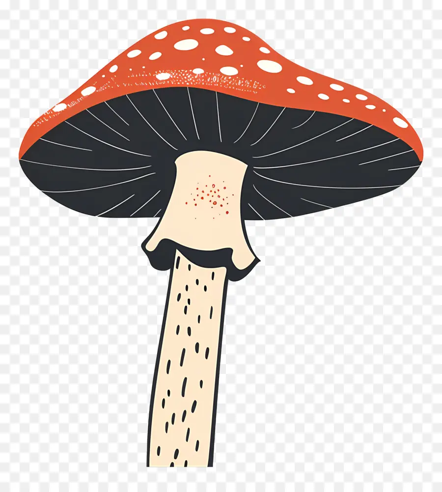 Champignons Fantastiques，Champignons PNG