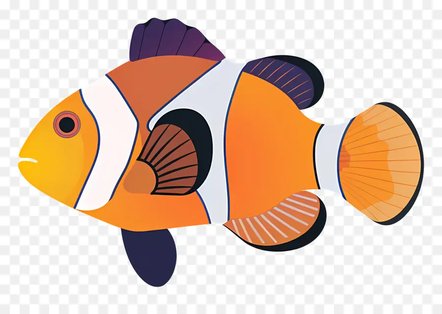 Poisson Clown，Des Poissons Clowns PNG