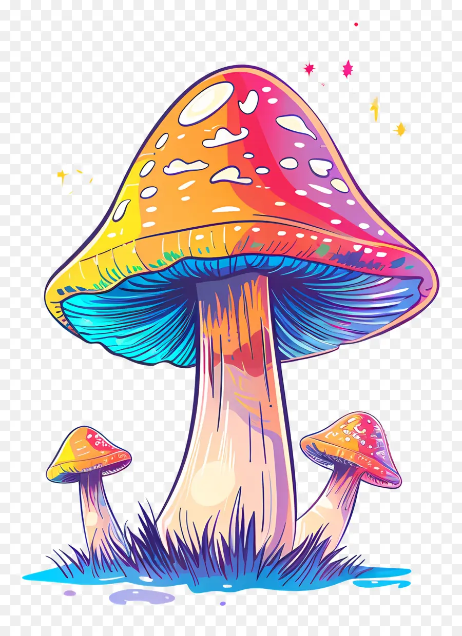 Champignons Fantastiques，Champignons PNG