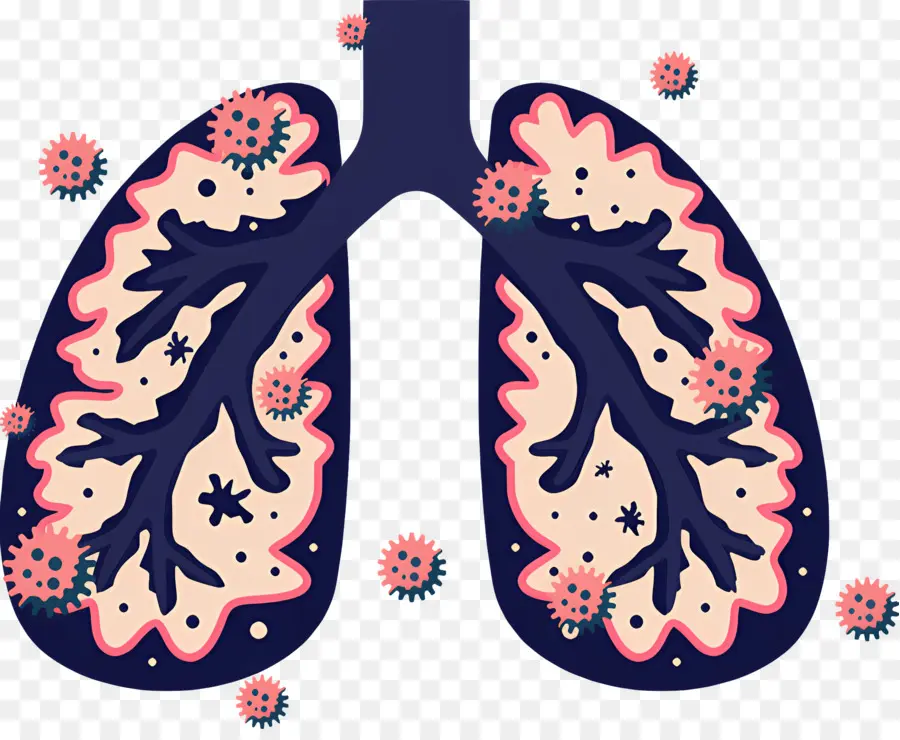 Poumon，Inflammation Pulmonaire PNG