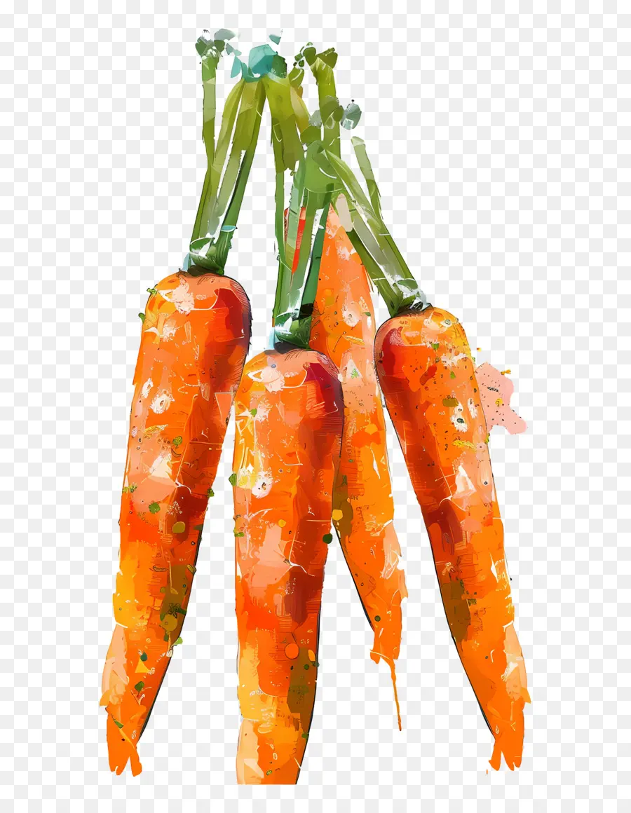 Les Carottes，Peinture PNG