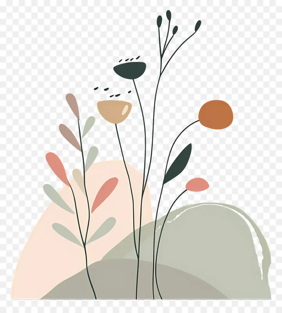 La Croissance，Fleurs PNG