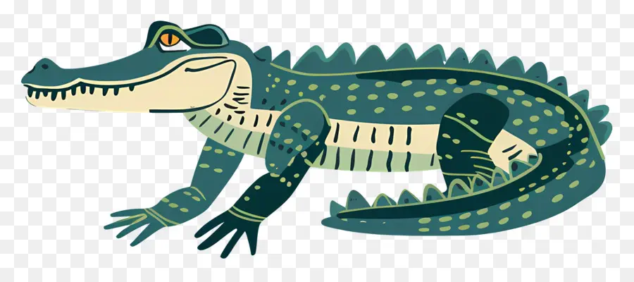 Alligator，Crocodile PNG