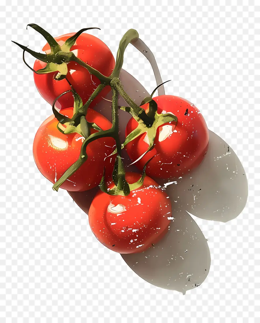 Tomates，Des Tomates Bien Mûres PNG