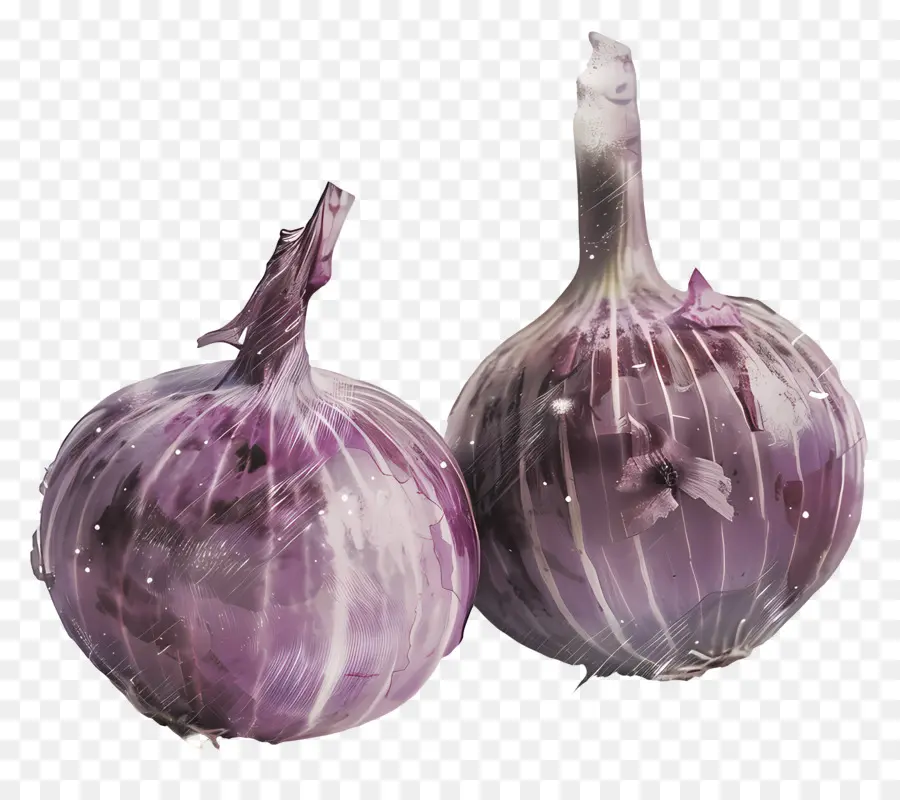 Oignons，Violet Oignons PNG