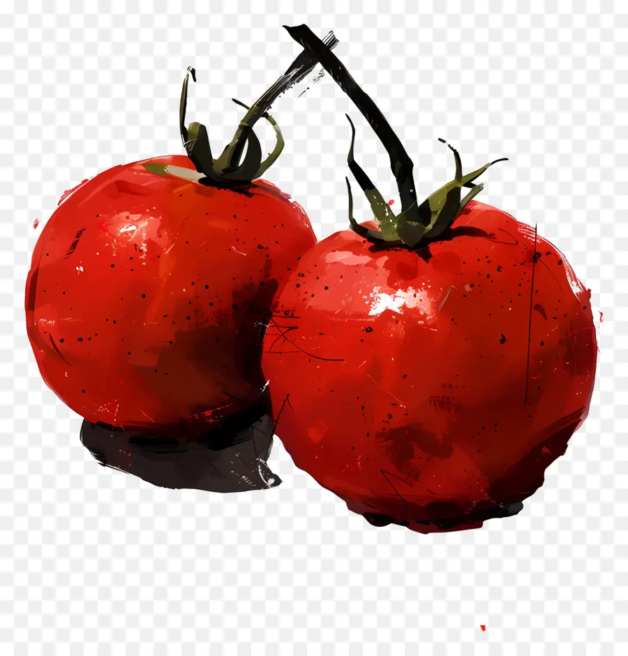 Tomates，Peinture PNG