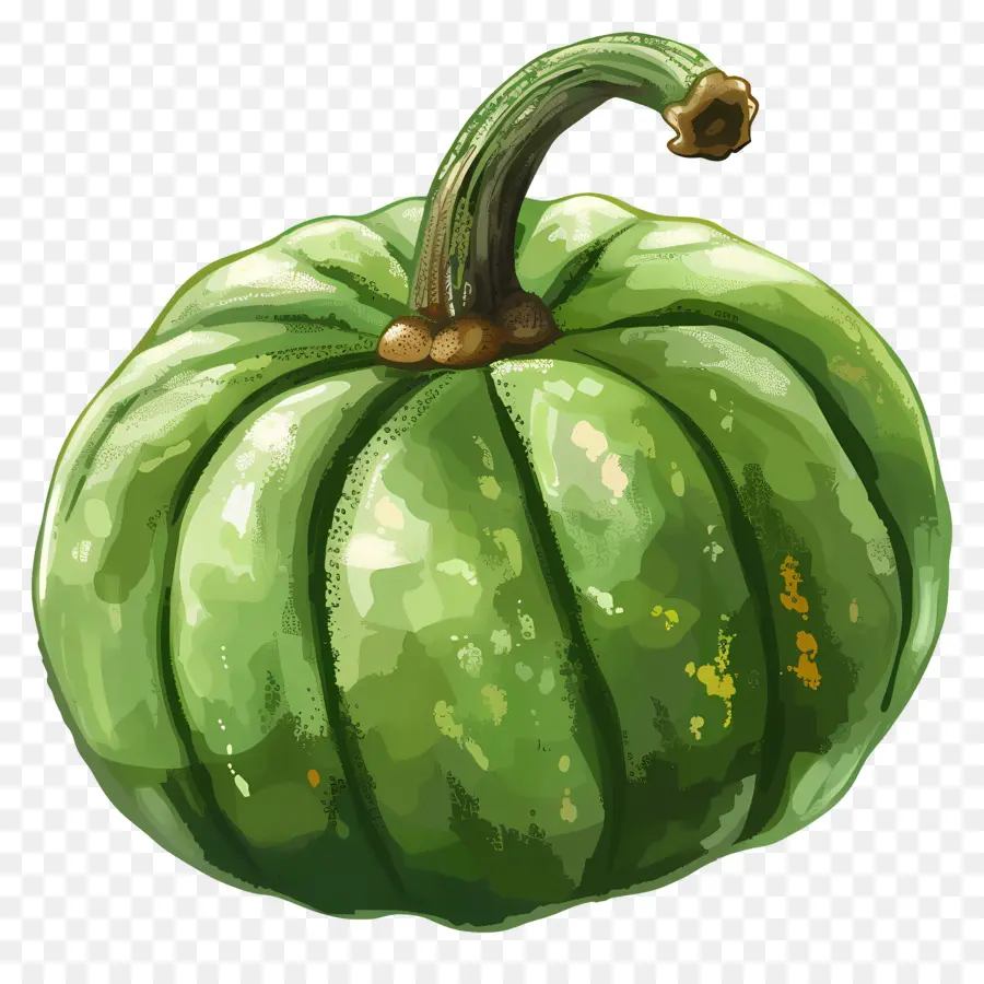 Vert Citrouille，De Forme Ronde PNG